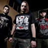 Tacit Fury