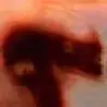 CJ КЕFИR