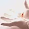 Vikk-V