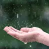 Алина Белочка