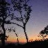 Юнные Россипи