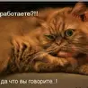 Олег Таёжный