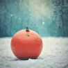 SheMax