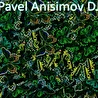 Dj Pavel Anisimov 