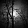 Lunar Portals of the Astral Mirror