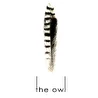 the owl