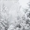 Sons Of Northern Mist