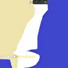 Brokenreflection