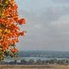 гармонисты России