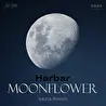 SAGA Remixes