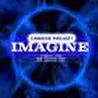 Cannon Project
