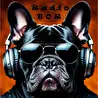 Radio TOR