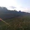 Brokenreflection