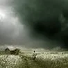 Фиолетовая осень