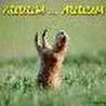 DJ_Livingstone