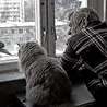 ВИА "Генератор Песен" - песни на стихи Дмитрия Угольникова