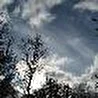 Выход в Город