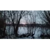 Неизвестный Бунтарь