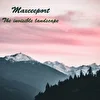 Maxceeport