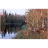 ОСЕННИЙ АККОРД
