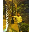 stillalive
