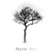 Viktor Stay
