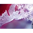 &lt;&lt; Not Jast Angel &
