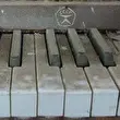 MC-Step