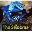 Seldome