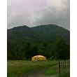 Александр!