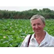 юрчик