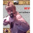 St1v