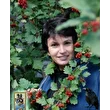 Елена Воронкова
