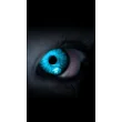 Aleks 1