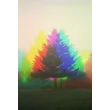 as_gard