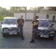 WOLF_SFD