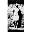 Lady_in_never_mind_colour