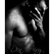 den.airy