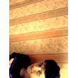 SunshineCover