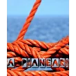 A Pianear! 