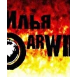 Илья DarWIN