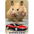 Dj FlyHamster