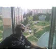 PLalexey