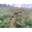 Ольга Кудоярова