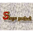 Sanyo project