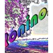 Roninos