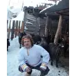 siftij