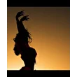 Sweet_passion