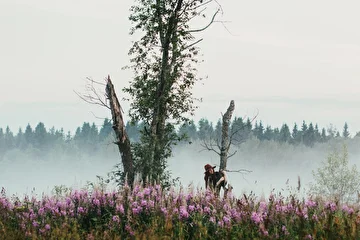 Фотограф - Мария Брусникина