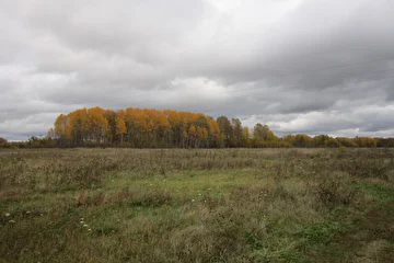 Природа.Маркелово.Осень 2017г.